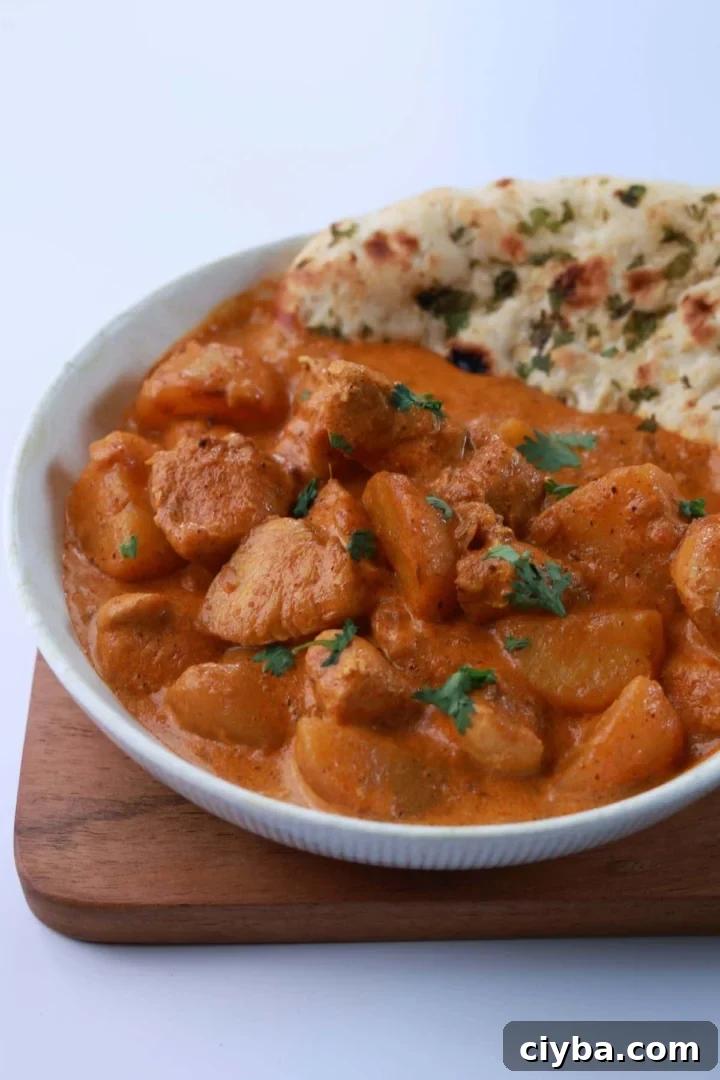 Wide angle shot of creamy chicken and potato curry served in a bowl, garnished with fresh cilantro and ready to eat.