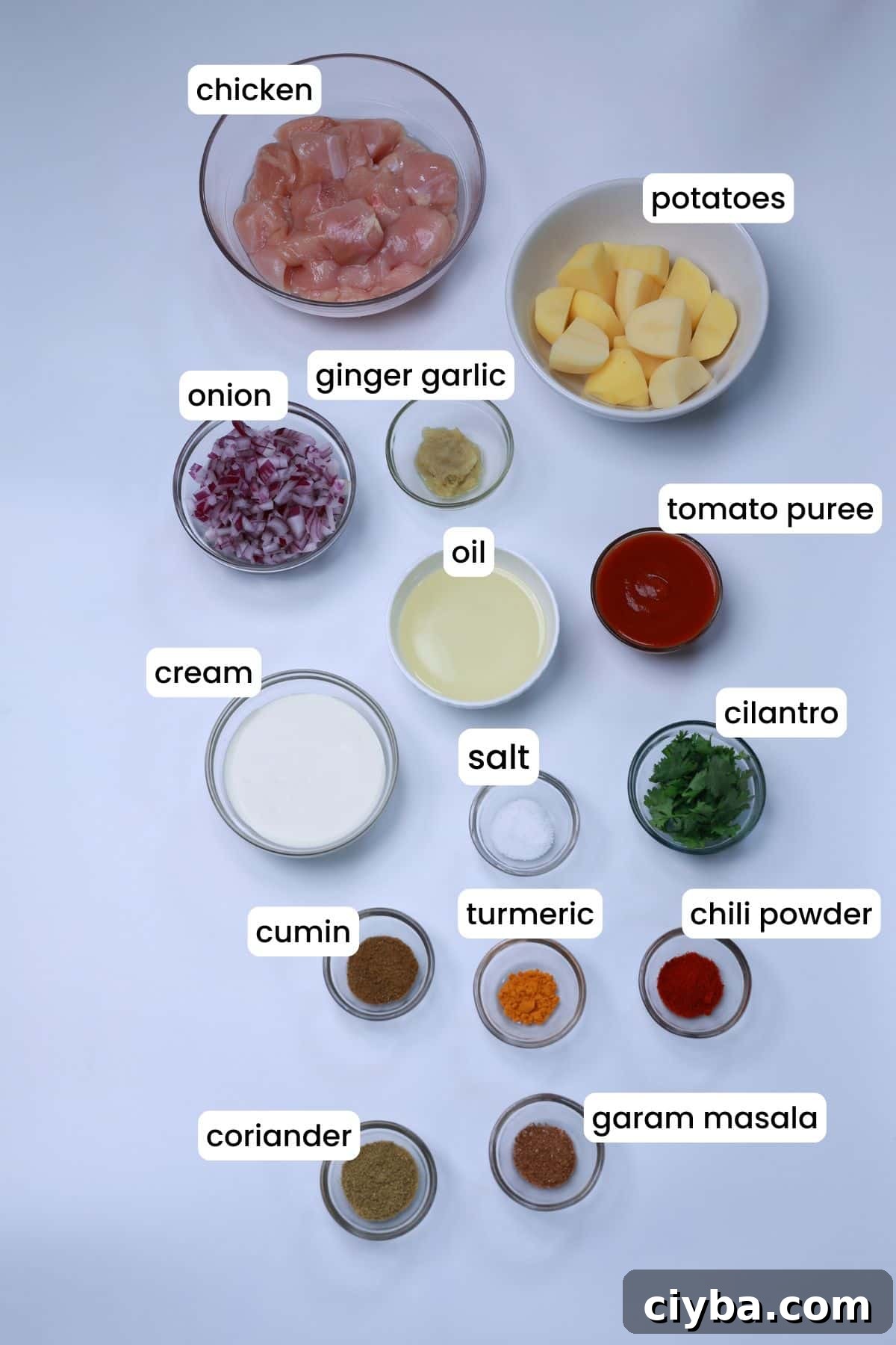 Ingredients for creamy chicken and potato curry arranged on a white background.