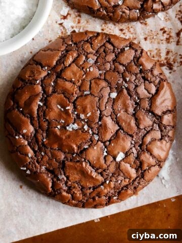 chewy crinkle top brownie cookies