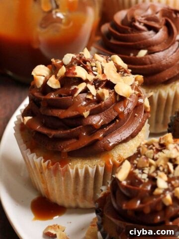 chocolate hazelnut cupcakes