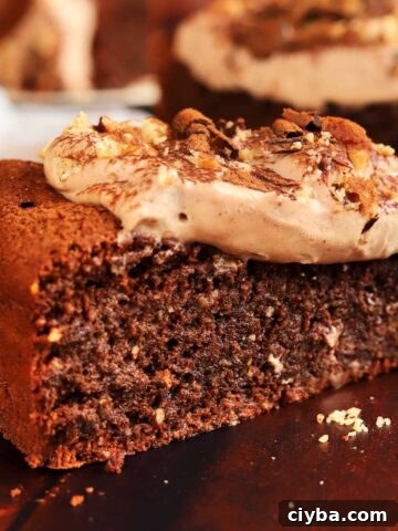 flourless chocolate hazelnut cake slice showing fudgy middle