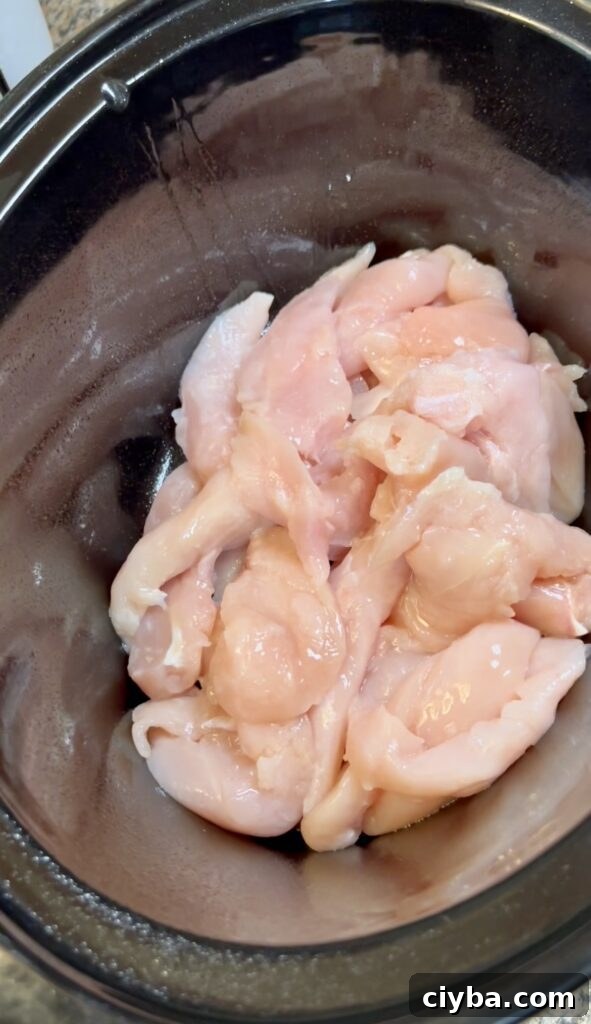 Crockpot Chicken with Potatoes and Green Beans