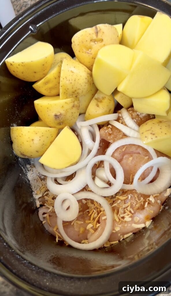 Crockpot Chicken with Potatoes and Green Beans