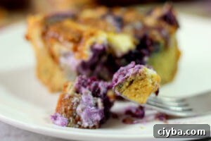 Blueberry Cheesecake Bread Pudding Recipe for Creamy Desserts 2 Blueberry Cheesecake Bread Pudding (THM S, Low Carb, Sugar Free)