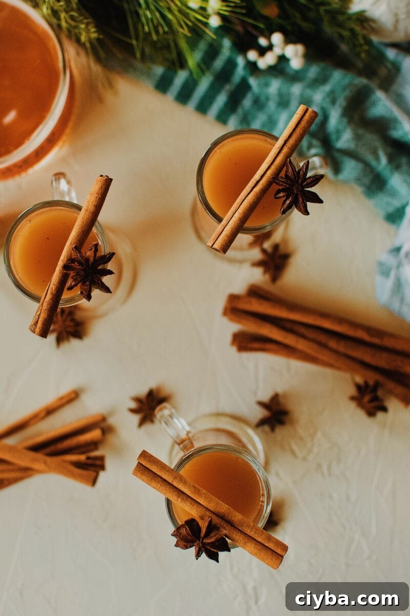 3 Winter Whiskey Wassail garnished with a cinnamon stick and star anise pod.