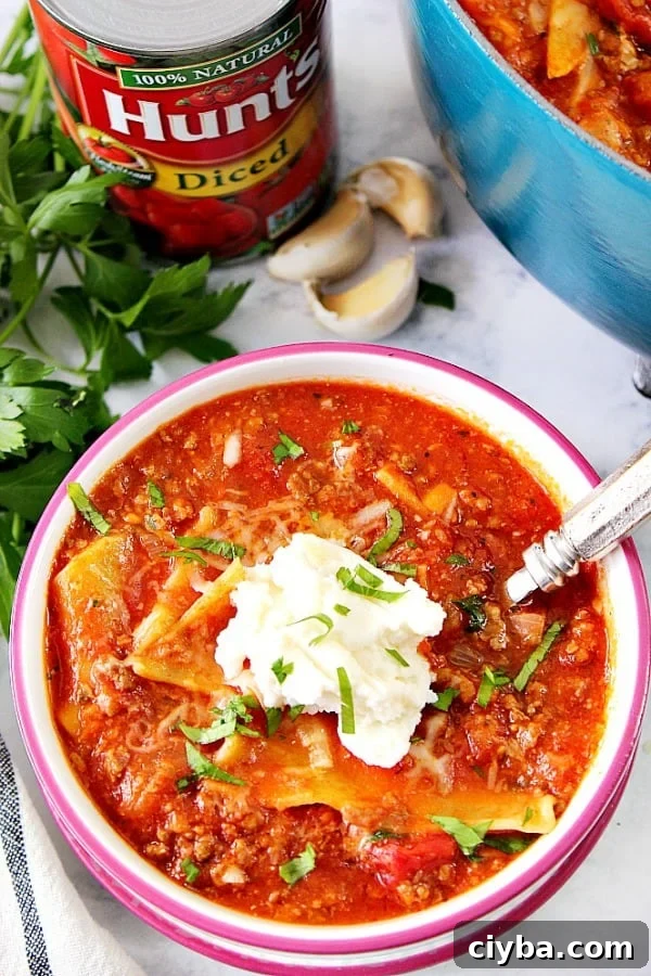 Overhead shot of lasagna soup in bowl, next to pot with soup.