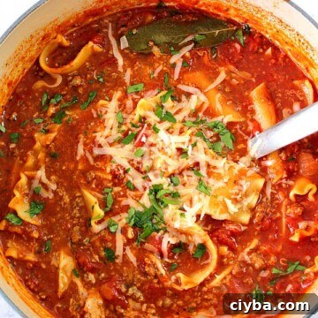 Lasagna soup in Dutch oven.