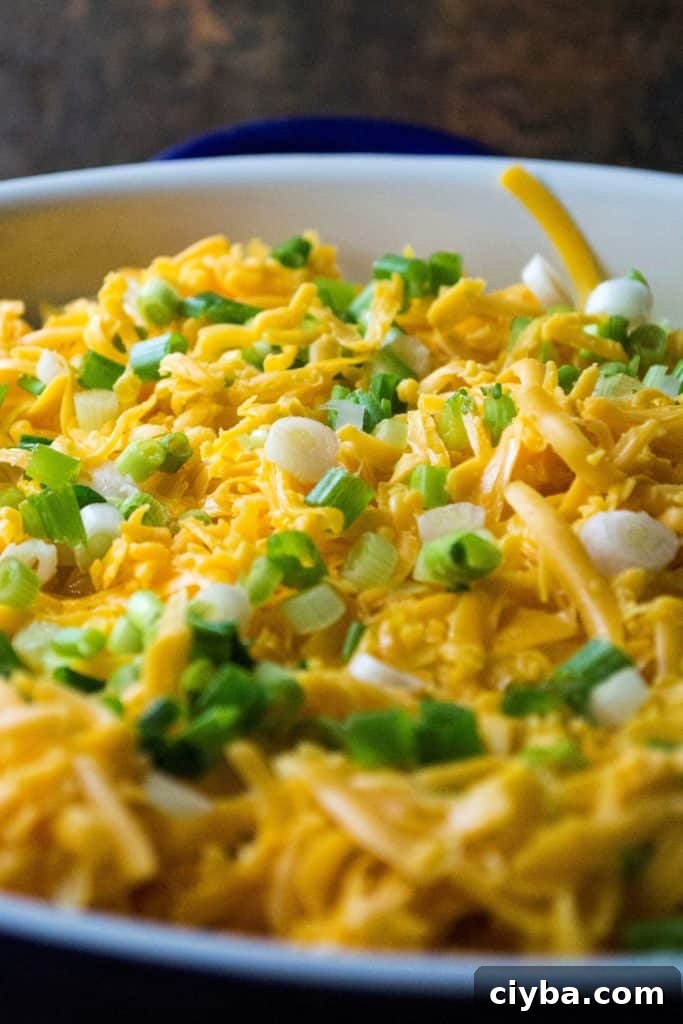 Turkey Shepherd's Pie cheese topping