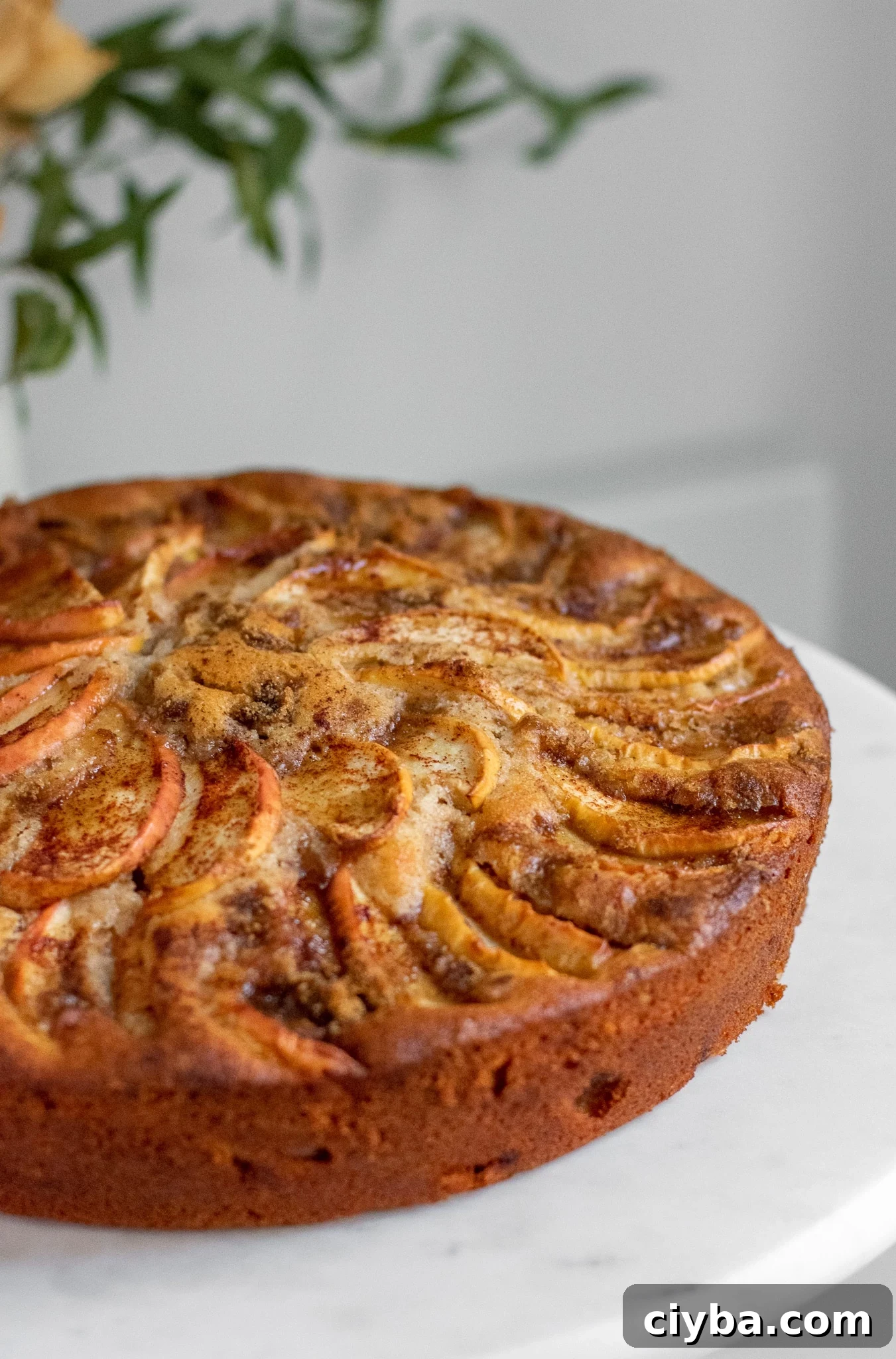 Apple cake on a cake stand topped with cinnamon and brown sugar.