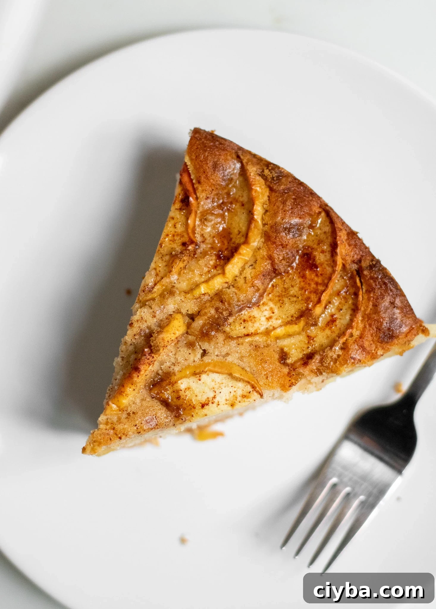 A slice of apple cake topped with cinnamon and brown sugar.