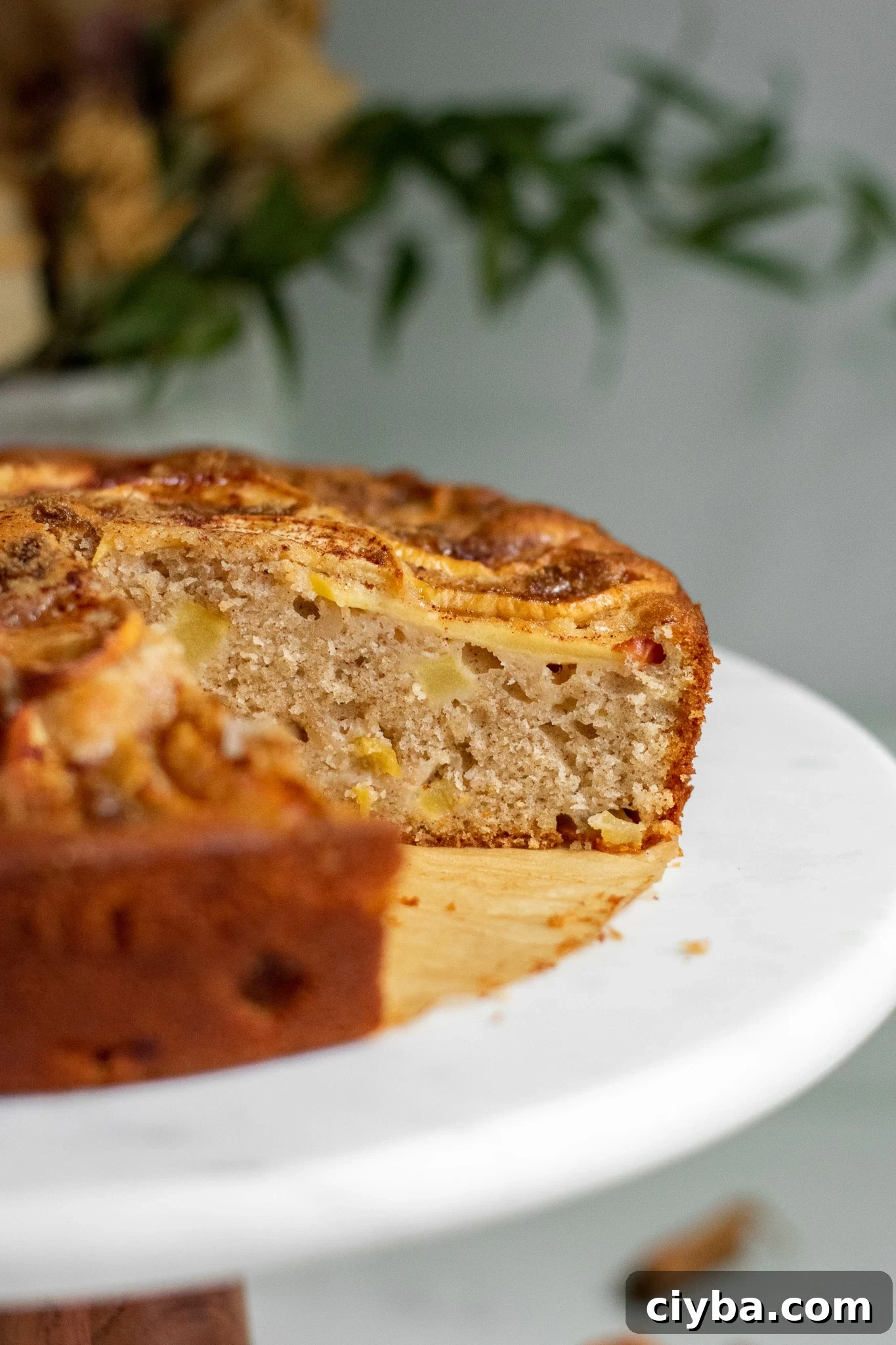 Apple cake on a cake stand topped with cinnamon and brown sugar.