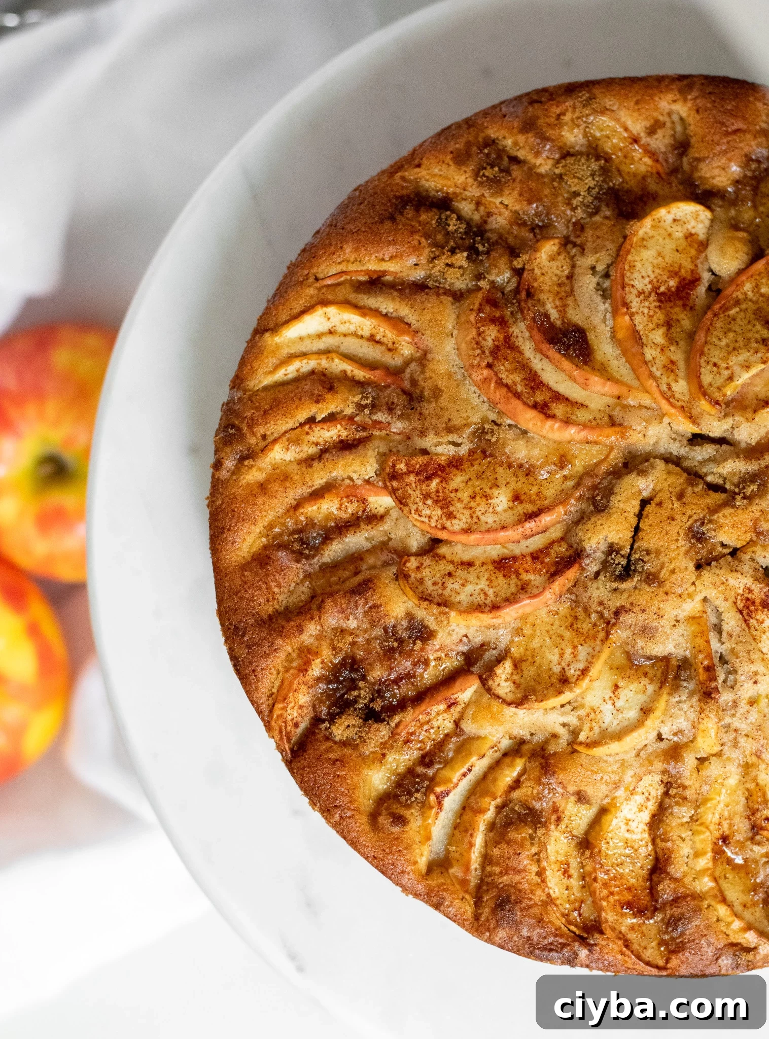 Apple cake on a cake stand topped with cinnamon and brown sugar.