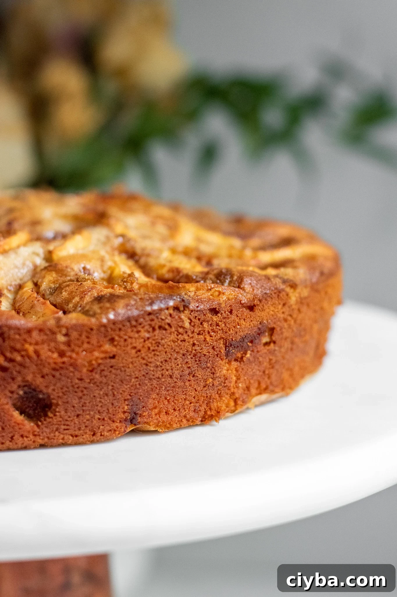 Apple cake on a cake stand topped with cinnamon and brown sugar.