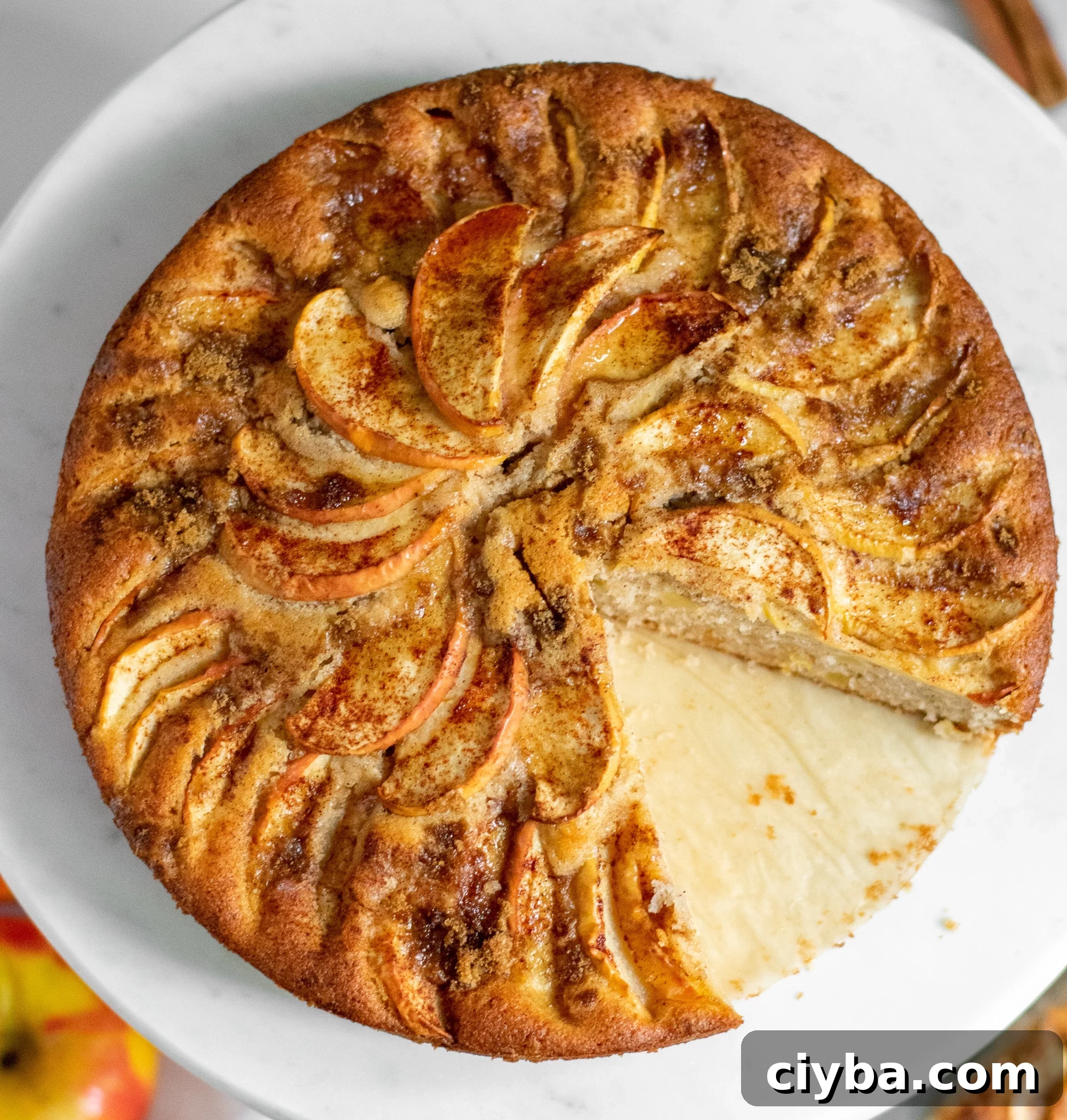 Apple cake on a cake stand topped with cinnamon and brown sugar.