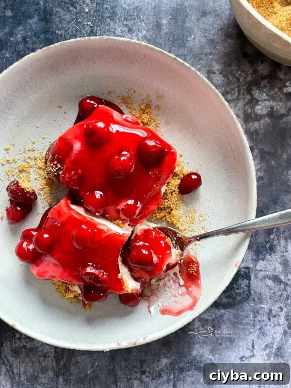 Cherry Dessert slice