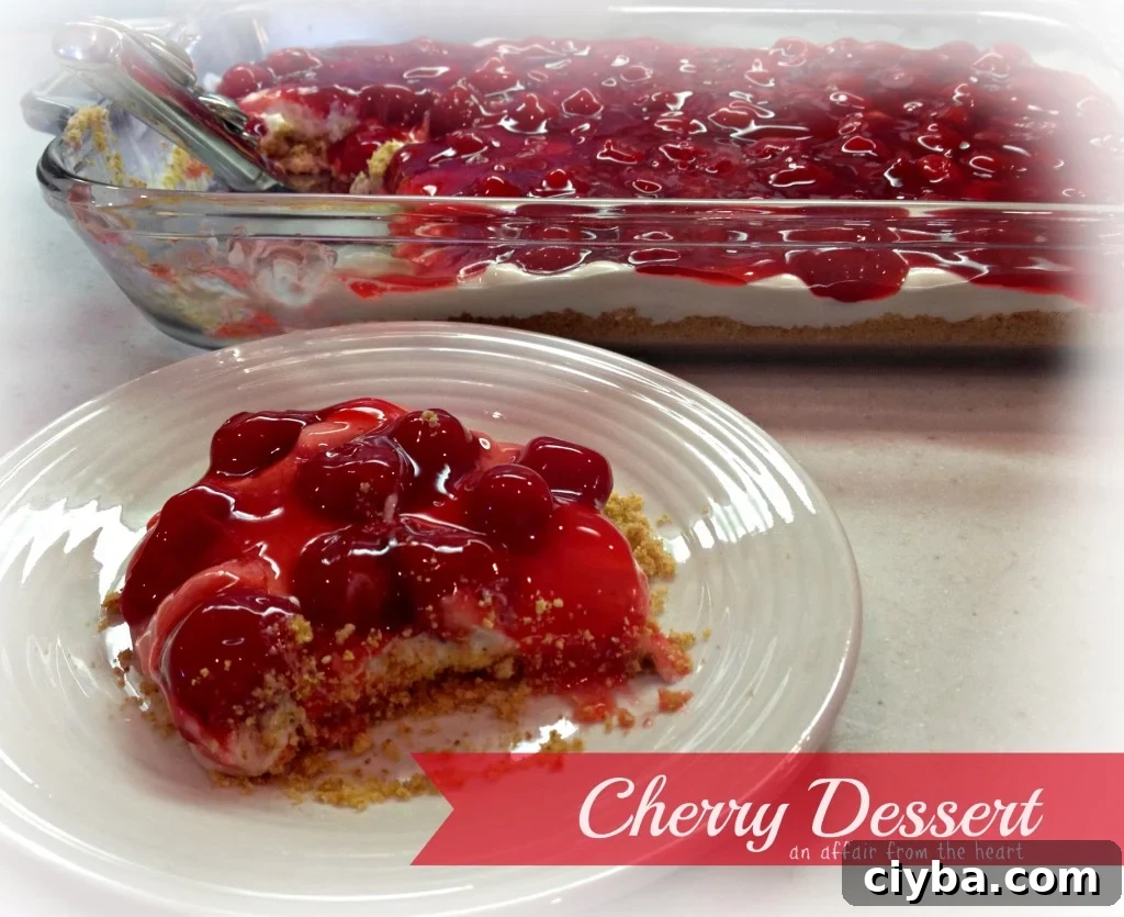Cherry dessert close up