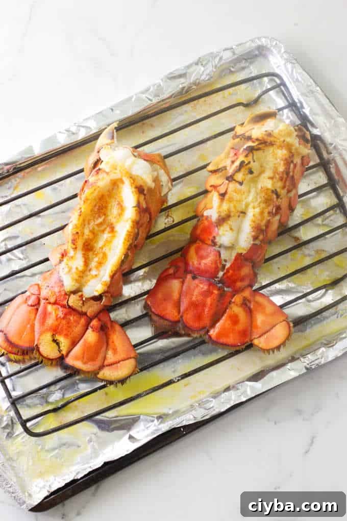 Better Than Outback Grilled Steak And Lobster Dinner