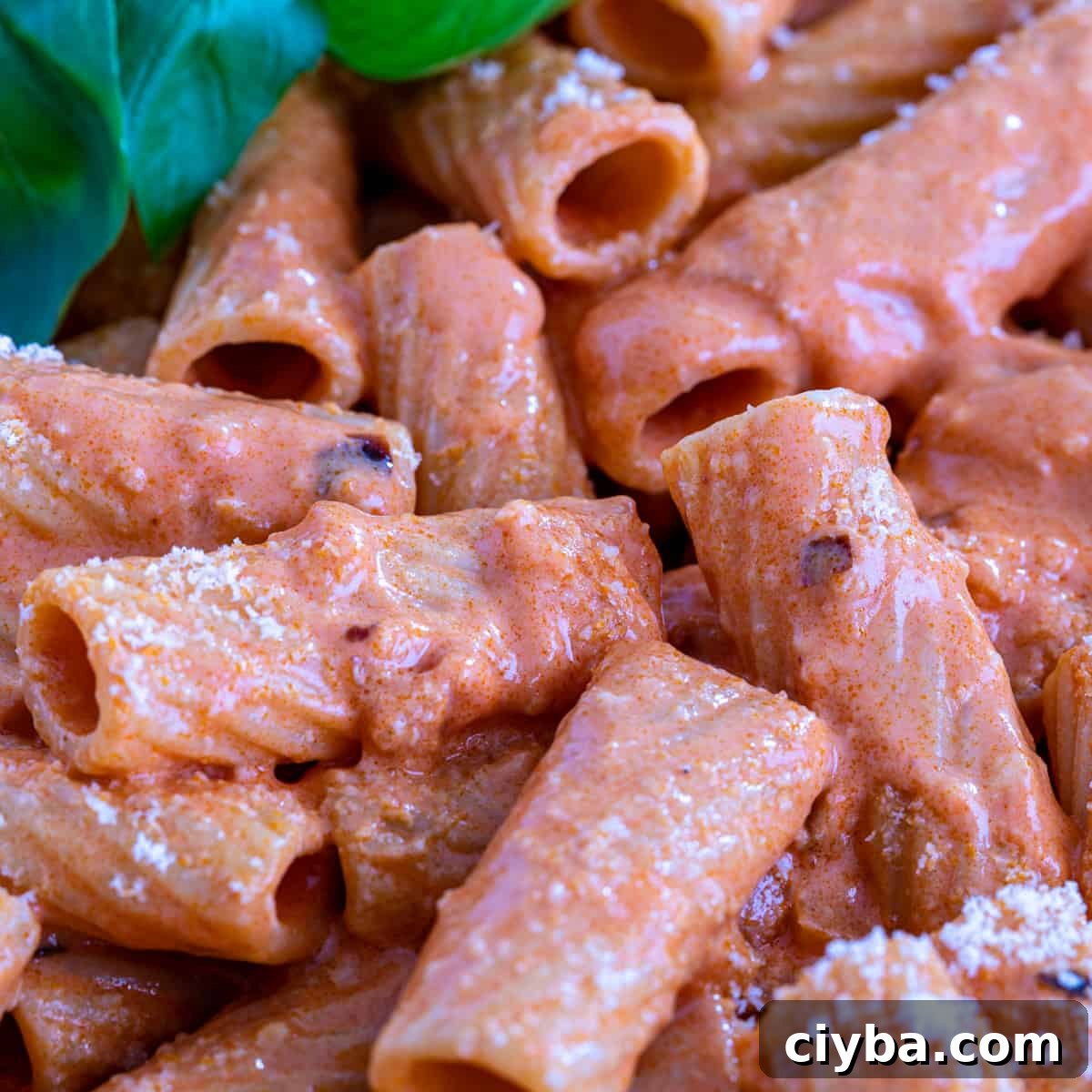extreme closeup: pasta with creamy vodka sauce