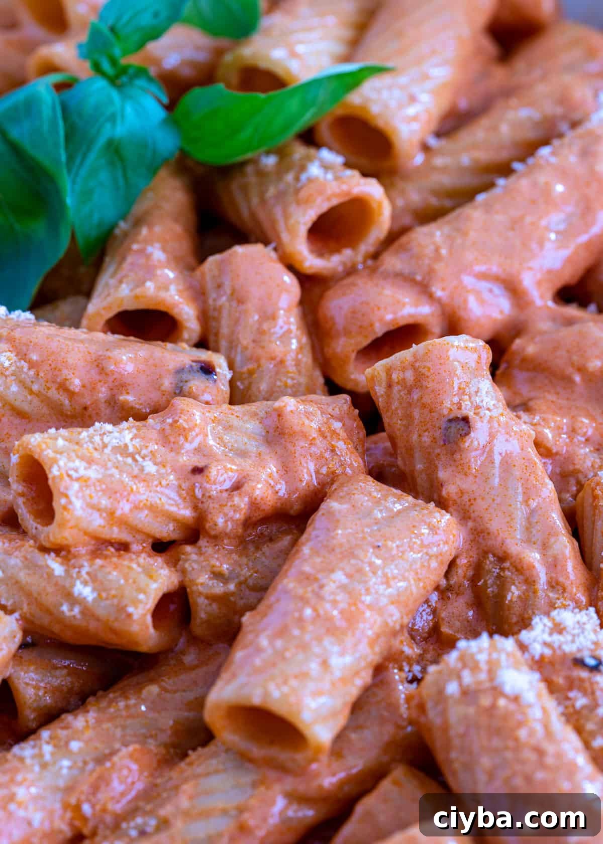 extreme closeup: rigatoni with vodka sauce