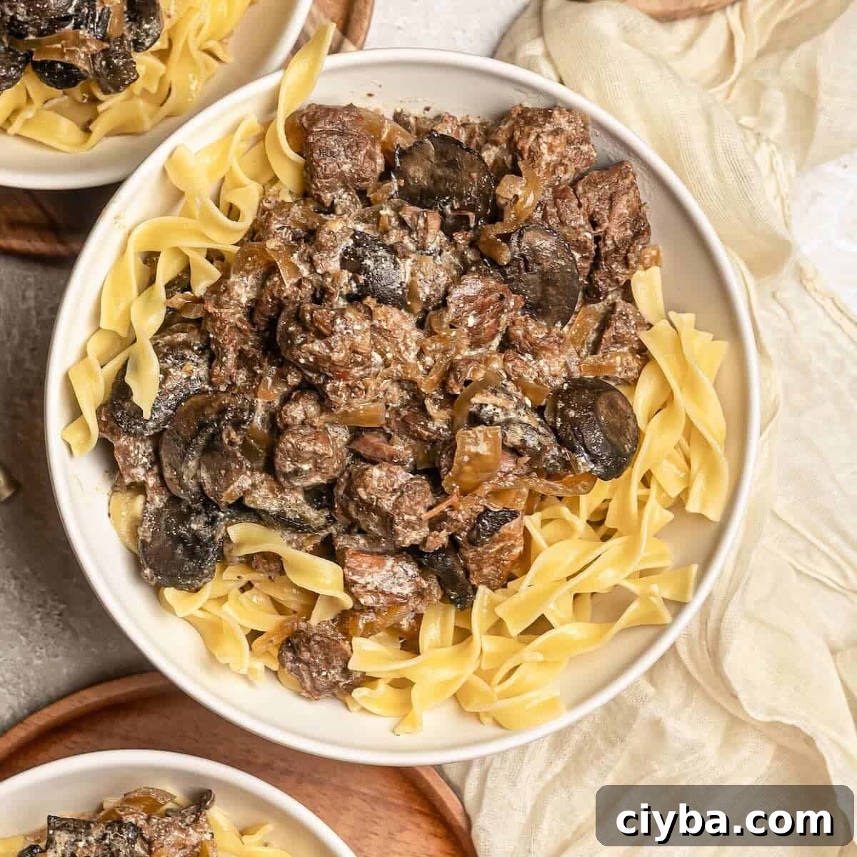 A bowl full of egg noodles topped with mushroom and beef stroganoff.