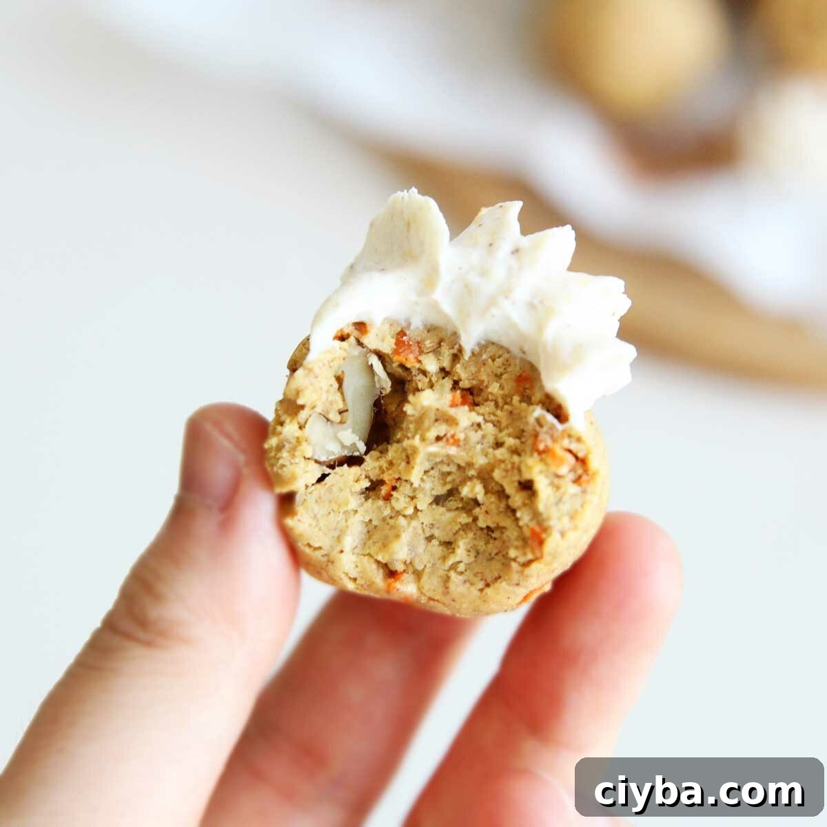 Cauliflower and Carrot Protein Balls — Carrot Cake Energy Bites 3 Protein balls close-up