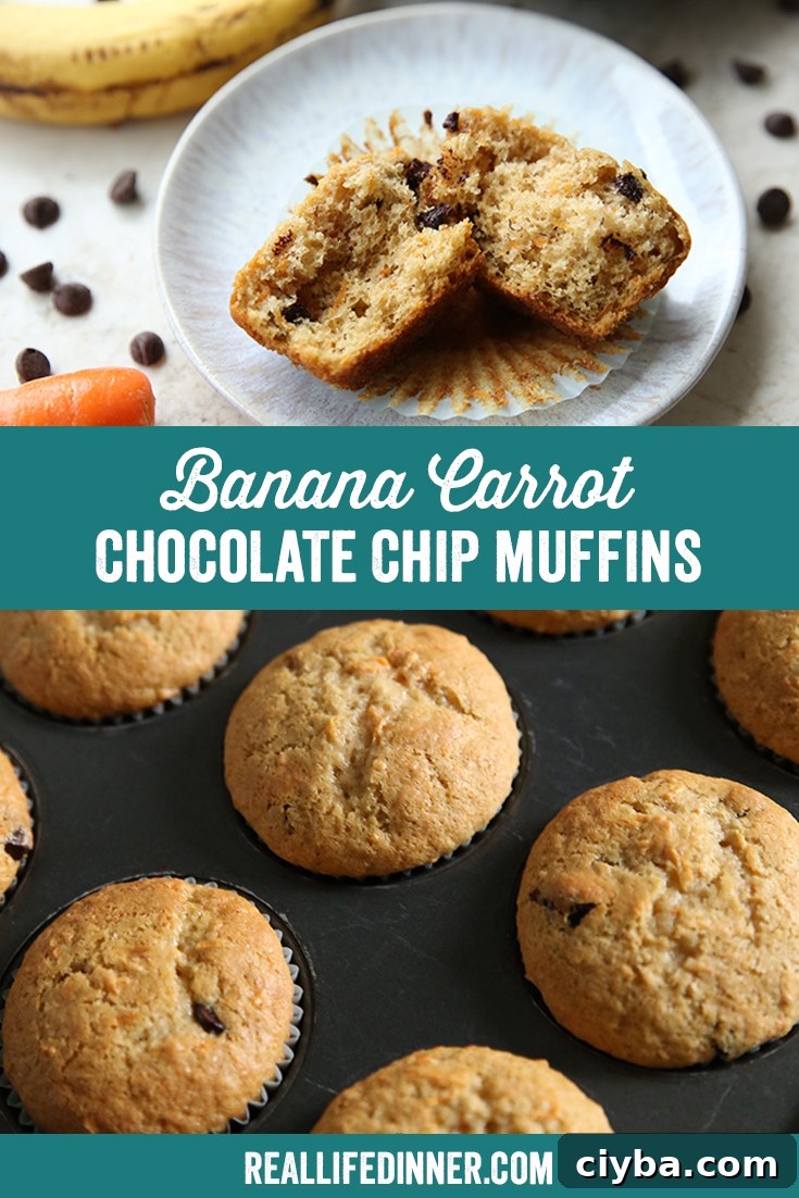 Two-photo Pinterest picture with the text of the title in the middle separating the photos.