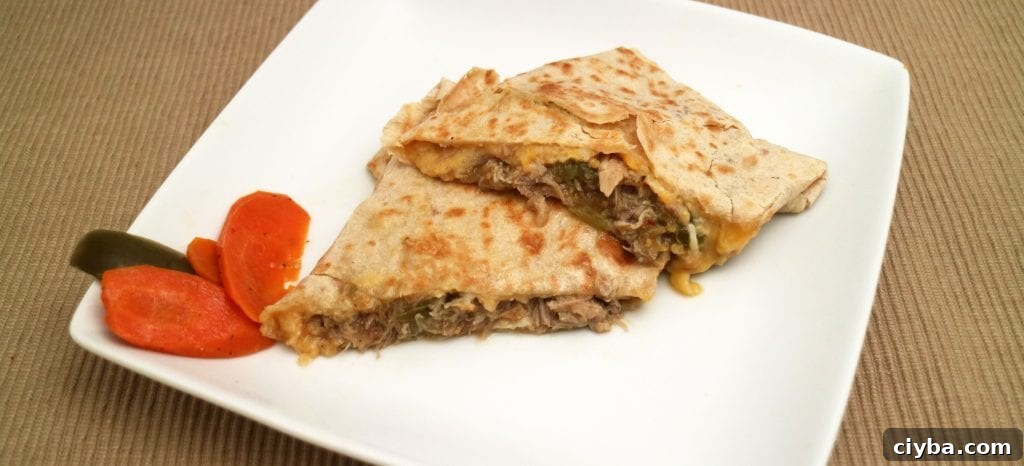 Carnitas chili verde pork quesadilla