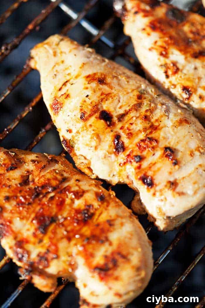 Reverse-Seared Chicken Breast Recipe and Step-by-Step Guide 4 chicken resting on barbecue grill grates