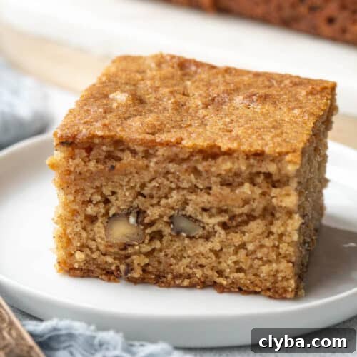 slice of applesauce cake on a white plate.