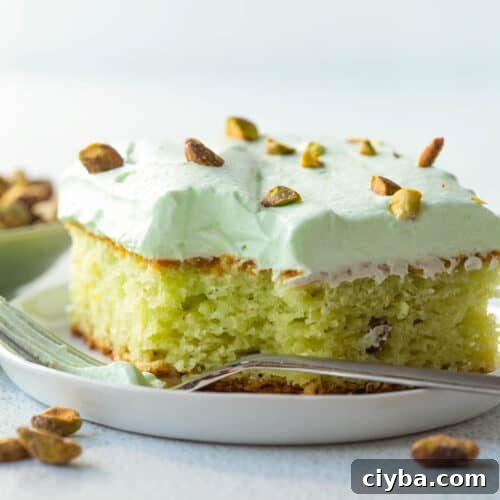 slice of pistachio cake topped with pistachio frosting and chopped pistachios on a white plate.