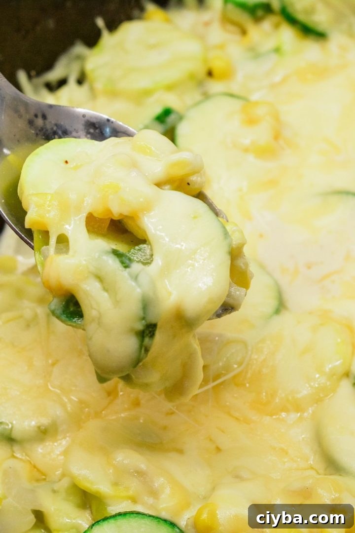 Mexican Zucchini & Yellow Squash Skillet Recipe with Fresh Salsa 2 Packed with fresh zucchini, yellow squash, corn, jalapeños, onions, and a touch of cheese, this Mexican zucchini and yellow squash skillet dish is not only bursting with flavor but also loaded with nutrients.