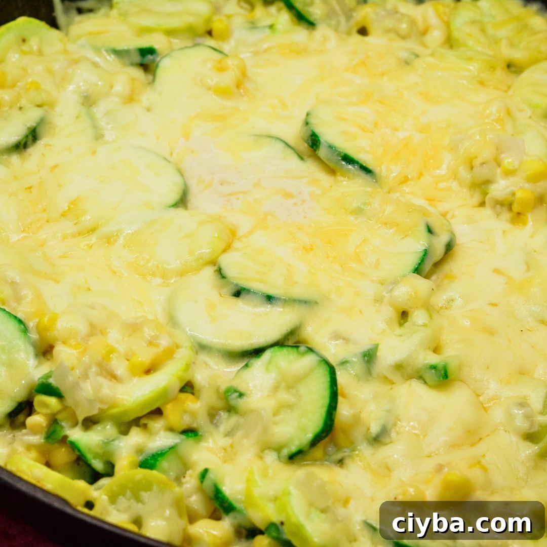 Mexican Zucchini & Yellow Squash Skillet Recipe with Fresh Salsa 9 Looking for a quick, healthy, and flavorful dish? Try this Mexican Zucchini and Yellow Squash Skillet with cheese, jalapeños, and corn! It's perfect as a side or a light main dish. Ready in under 30 minutes, this one-pan recipe is easy, delicious, and packed with nutrients. Pin it now for your next meal!