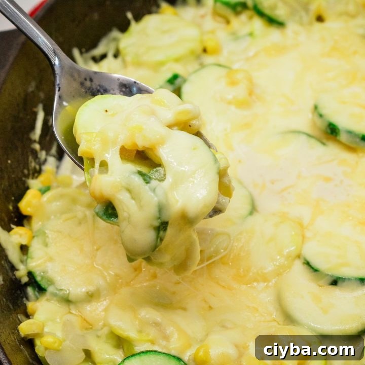 Mexican Zucchini & Yellow Squash Skillet Recipe with Fresh Salsa 10 Looking for a quick, healthy, and flavorful dish? Try this Mexican Zucchini and Yellow Squash Skillet with cheese, jalapeños, and corn! It's perfect as a side or a light main dish. Ready in under 30 minutes, this one-pan recipe is easy, delicious, and packed with nutrients. Pin it now for your next meal!