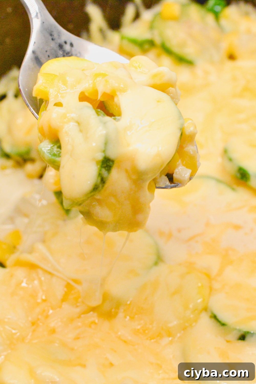 Mexican Zucchini & Yellow Squash Skillet Recipe with Fresh Salsa 11 Looking for a quick, healthy, and flavorful dish? Try this Mexican Zucchini and Yellow Squash Skillet with cheese, jalapeños, and corn! It's perfect as a side or a light main dish. Ready in under 30 minutes, this one-pan recipe is easy, delicious, and packed with nutrients. Pin it now for your next meal!