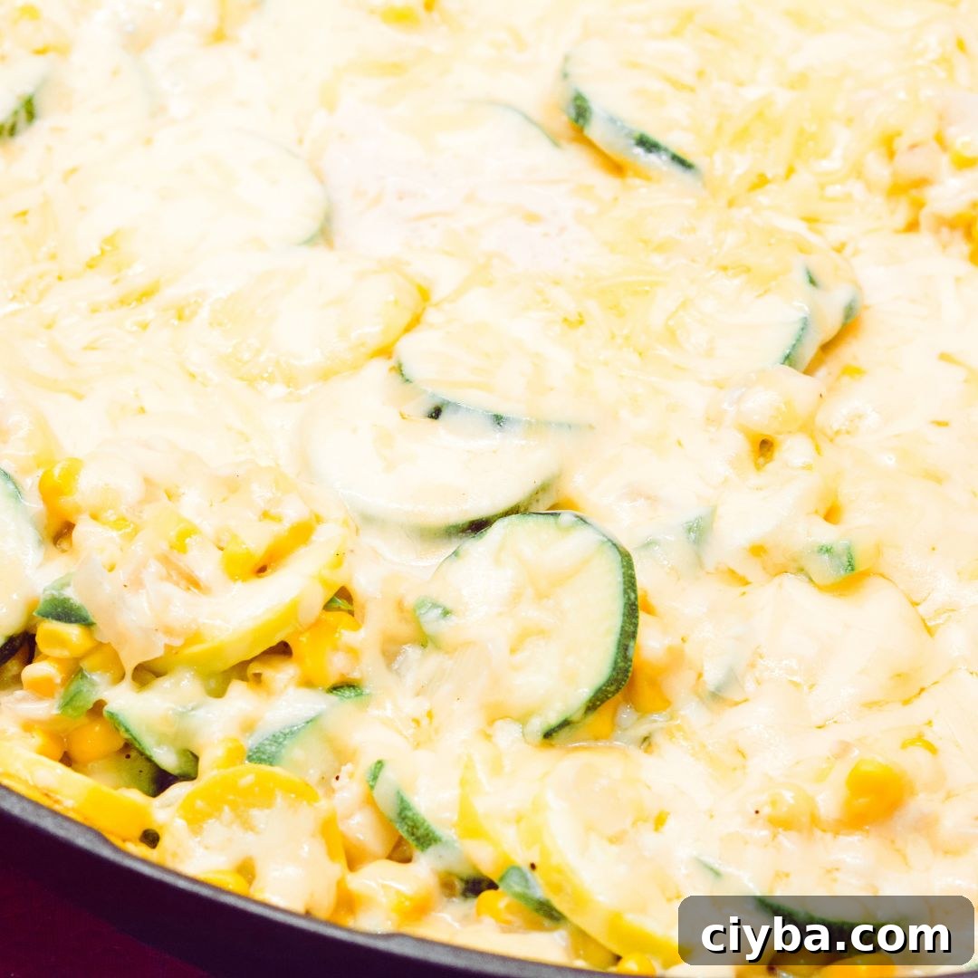 Mexican Zucchini & Yellow Squash Skillet Recipe with Fresh Salsa 7 Sprinkle the shredded cheese over the vegetables. Cover the skillet and allow the cheese to melt, about 2-3 minutes.