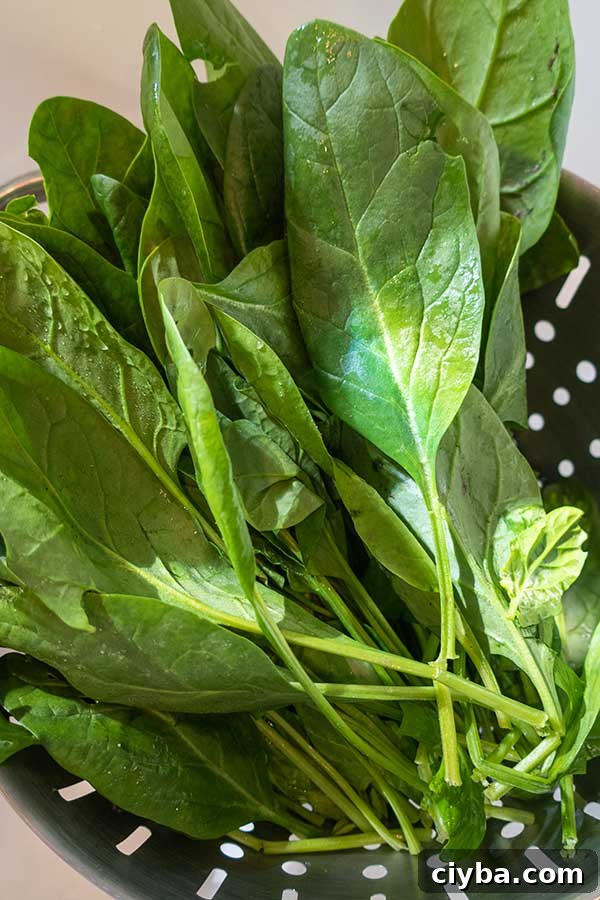 fresh spinach leaves in a colander