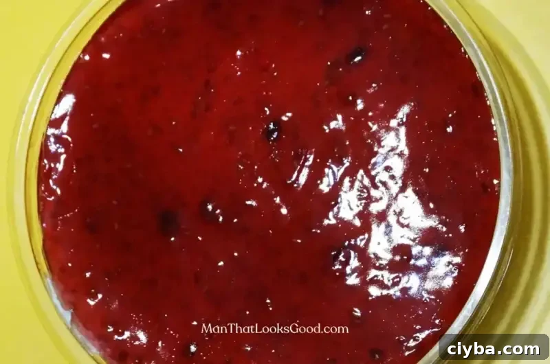 Arby's Bronco Berry Sauce