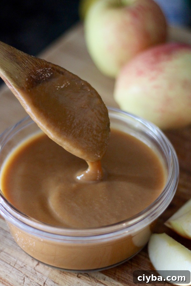 Pumpkin Salted Caramel Sauce - an AIP, Paleo caramel sauce made with coconut milk, pumpkin, honey, cinnamon, and sea salt! Delicious! | fedandfulfilled.com