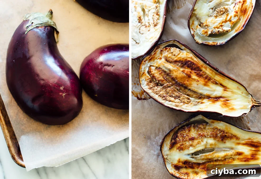 Smoky Baba Ganoush Recipe: Authentic Middle Eastern Eggplant Dip 3 eggplant, raw and roasted