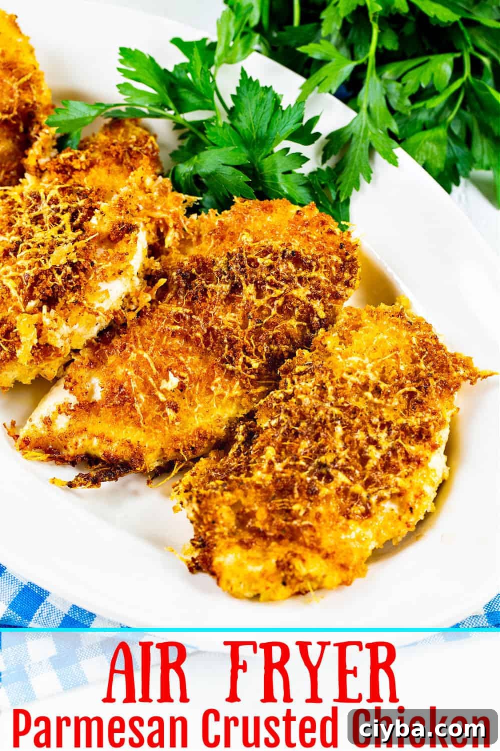Crispy Parmesan-Crusted Chicken in the Air Fryer 6 img 2702 5