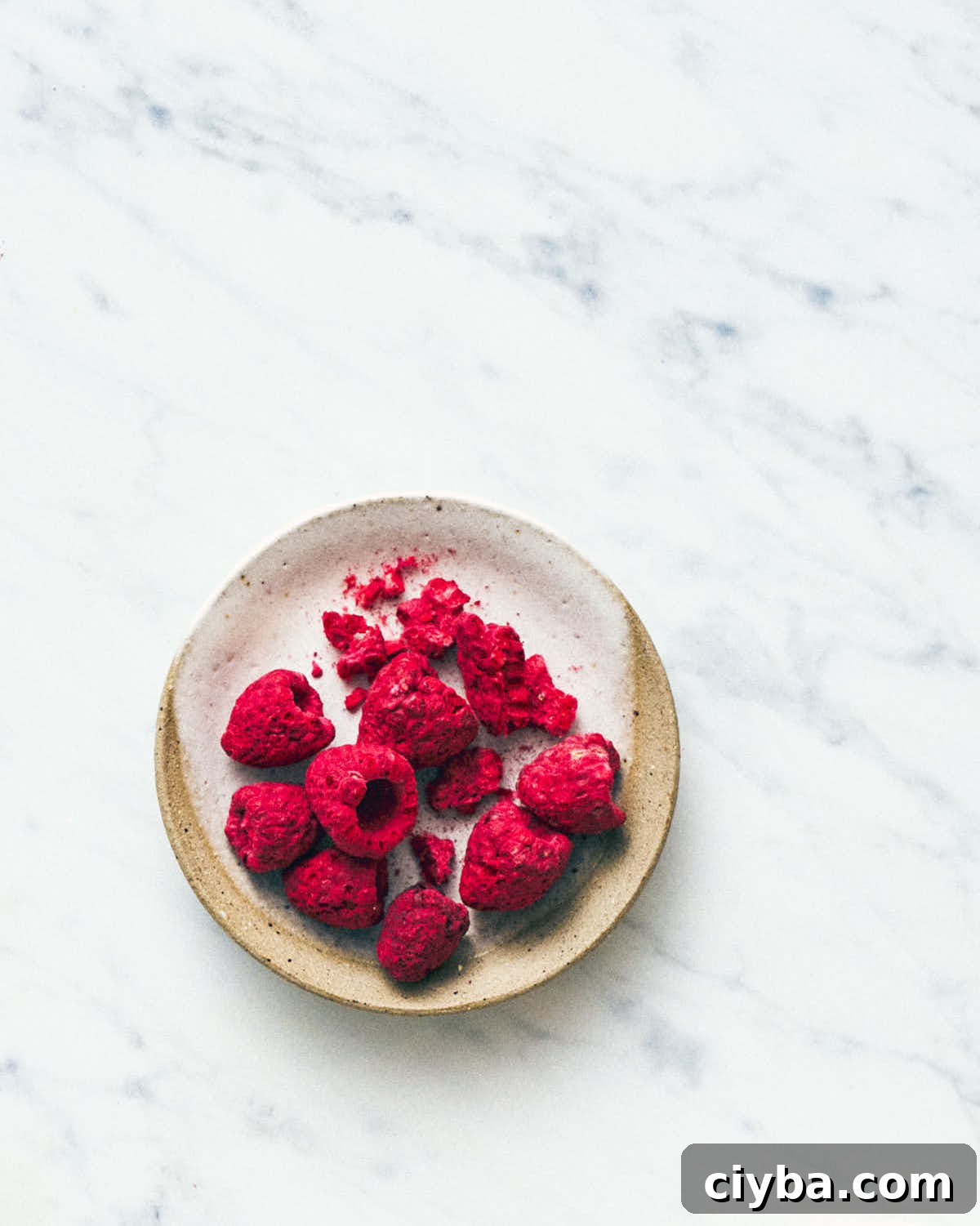 Freeze dried raspberries in a pinch dish