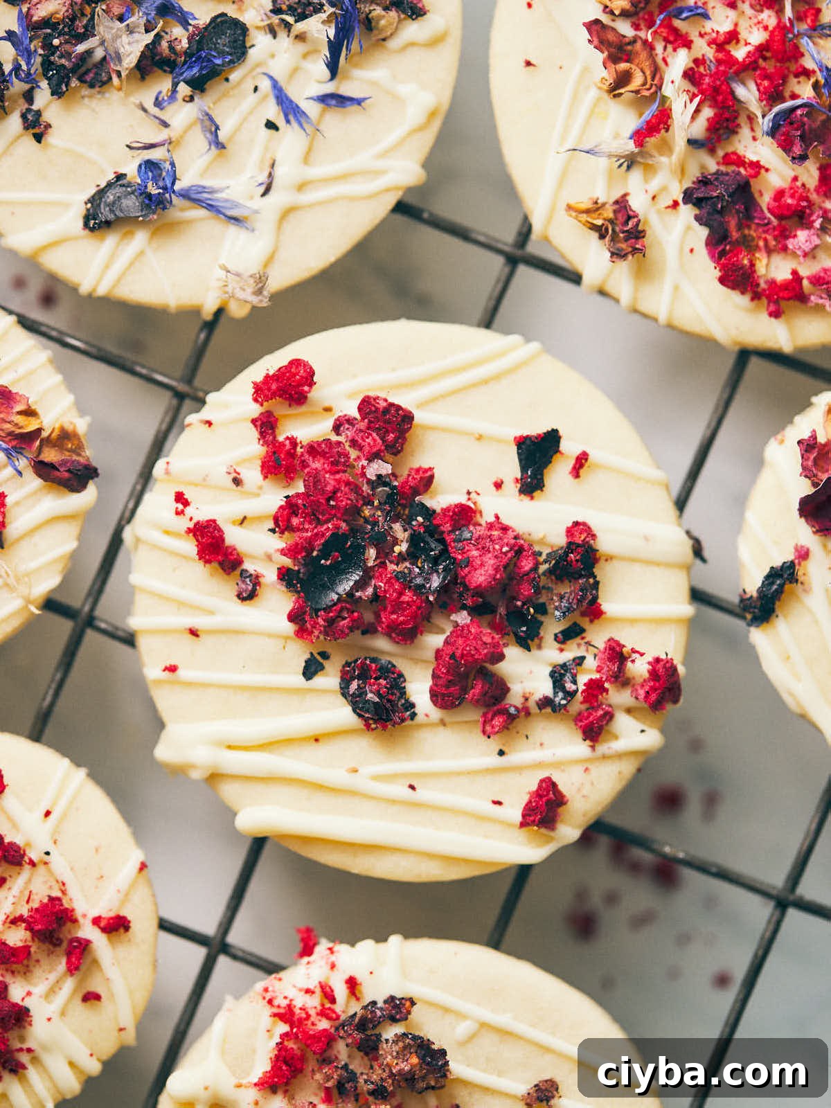 Close up photo on a single cookie dressed with freeze dried fruit and icing