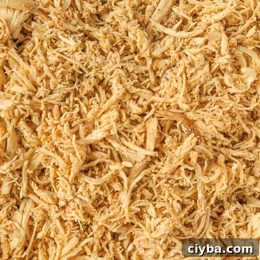 Crockpot Chicken Taco Meat {Easy, 3-Ingredient Recipe}