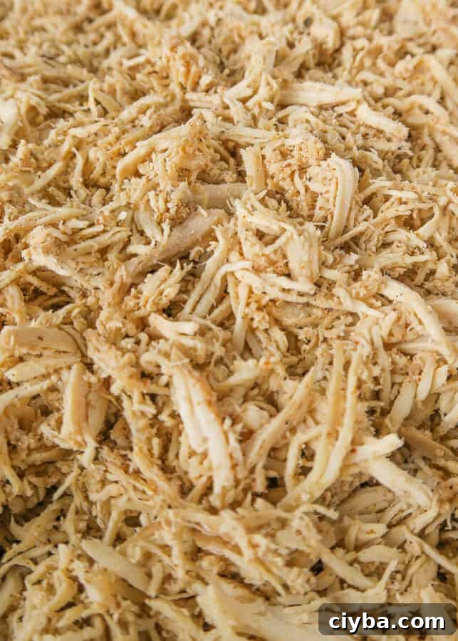 Crockpot Chicken Taco Meat {Easy, 3-Ingredient Recipe}