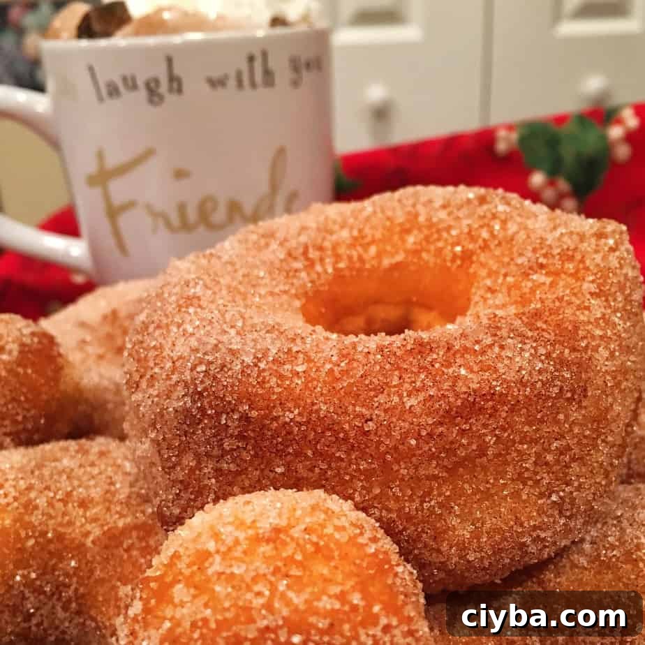 Grand's Quick Donuts: Simple Homemade Donut Recipes 2 Fresh homemade donuts rolled in sugar and cinnamon