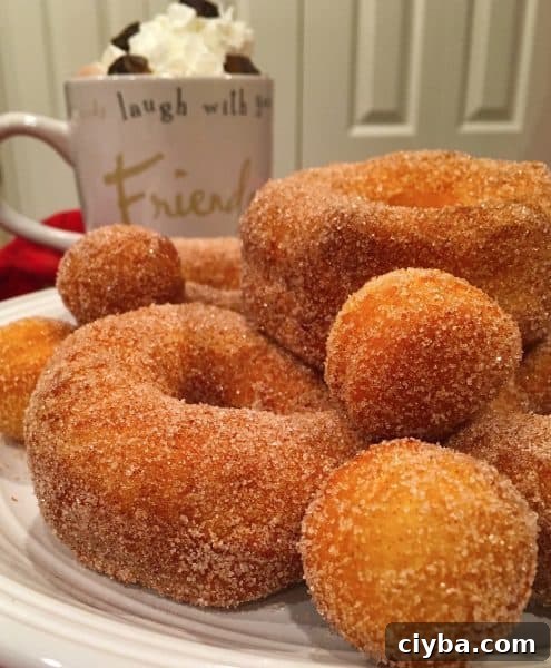Grand's Quick Donuts: Simple Homemade Donut Recipes 3 Plate full of fluffy puffy Grands Biscuits Fried Cinnamon Sugar Donuts