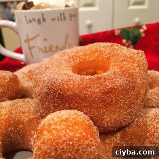 Grand's Quick Donuts: Simple Homemade Donut Recipes 8 Plate full of Grands Quick and Easy Cinnamon Sugar Donuts