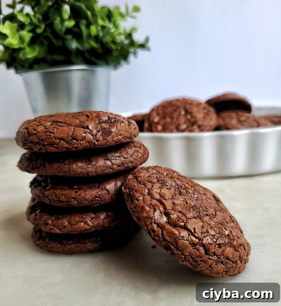 chewy brownie cookies