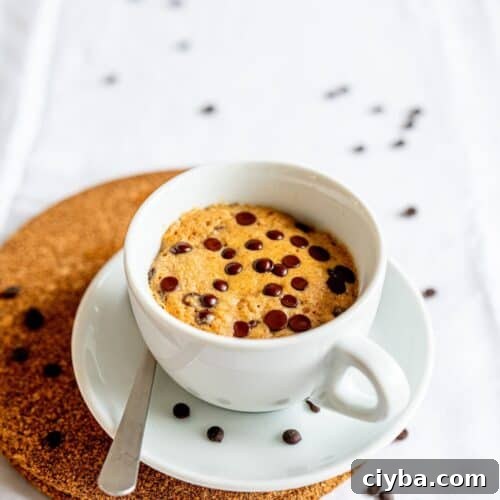 Healthy Chocolate Chip Mug Cake.