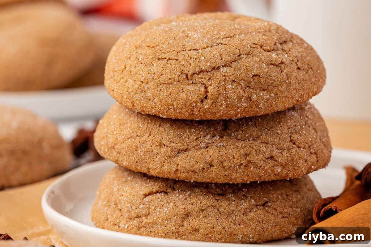 cake mix spice cookies